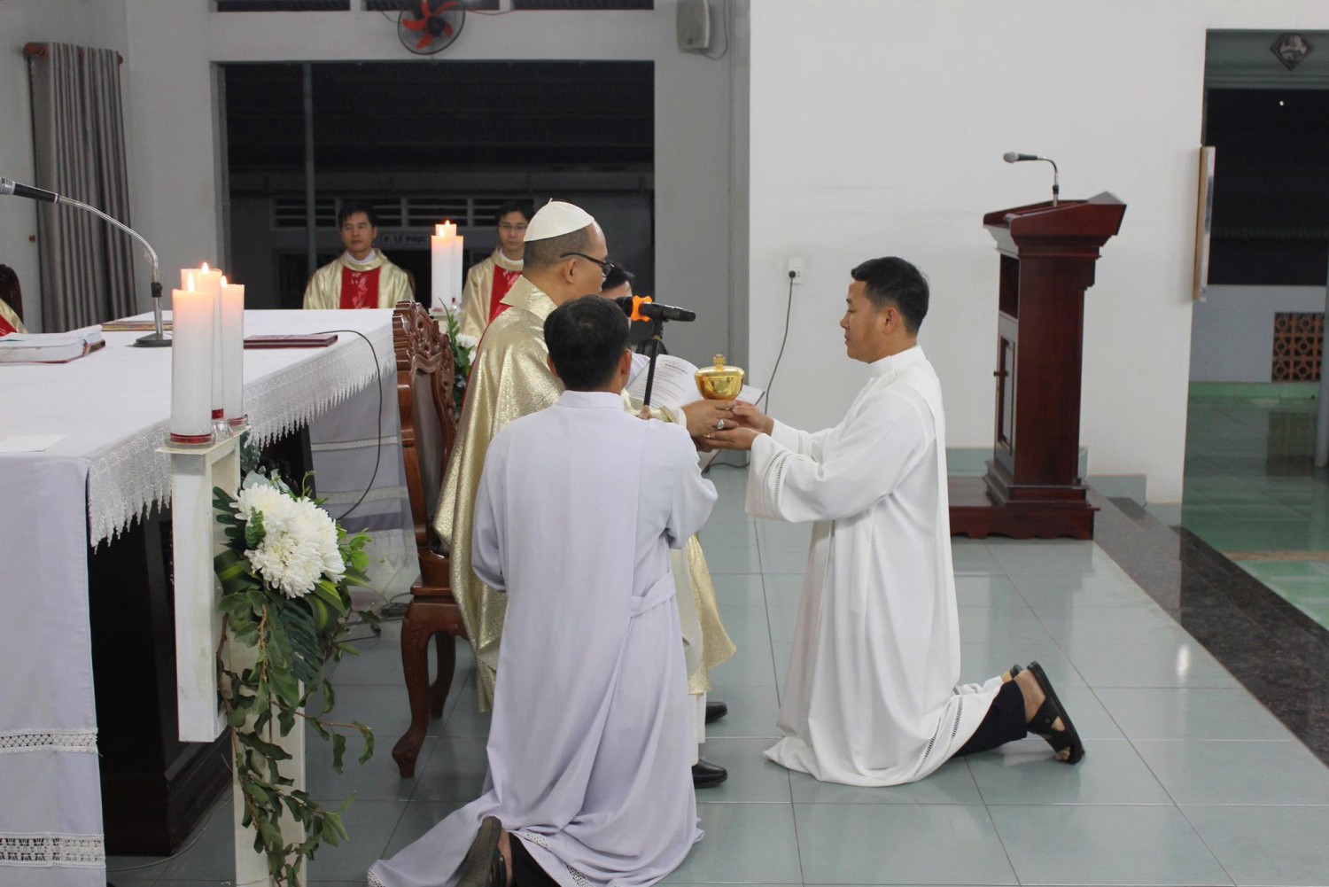 622041527 1366883975479873 4265391806591824334 n